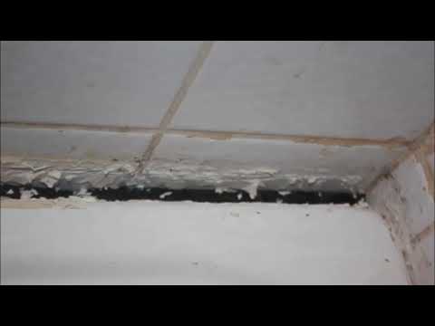 silikon-badewanne-erneuern