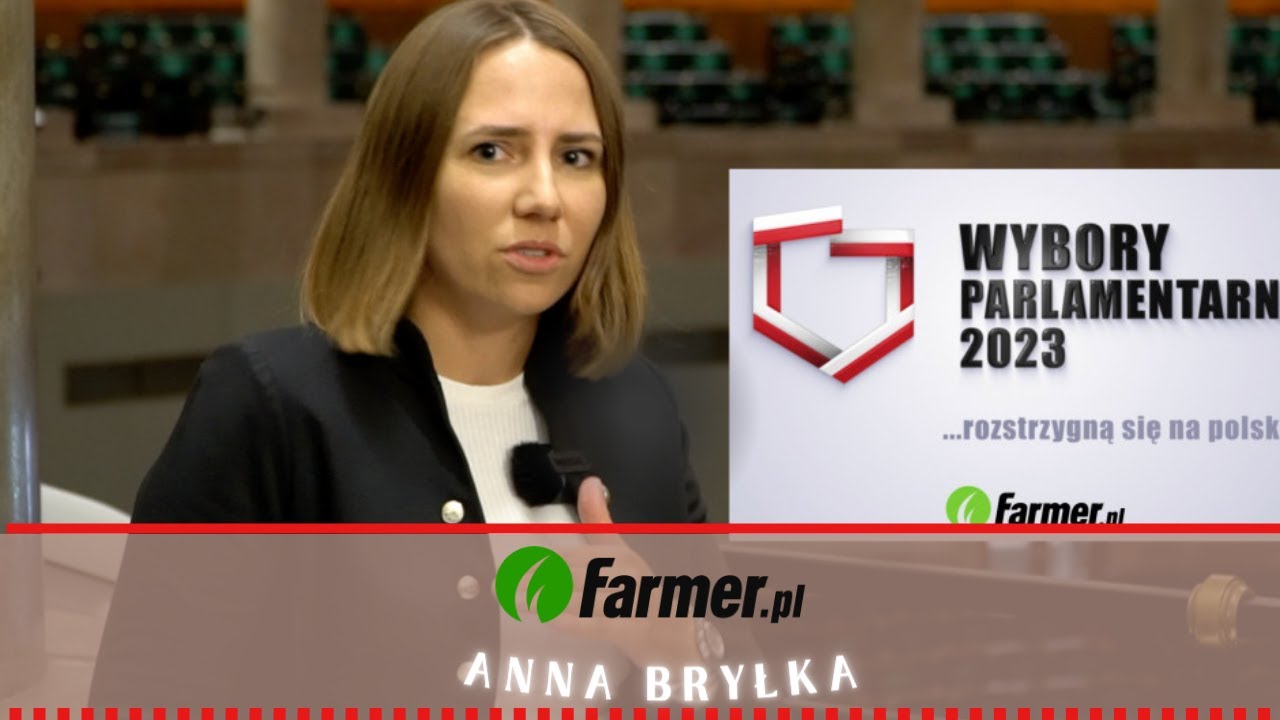 Wybory Parlamentarne 2023: Anna Bryłka - Konfederacja / Ruch Narodowy ...