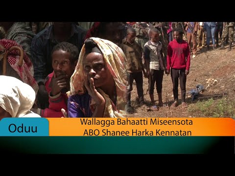 Wallagga Bahaatti Miseensota ABO Shanee Harka Kennatan