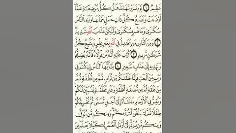 سورة الحج الصفحة 332