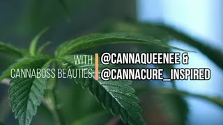 Sessions - Cannaboss Beauties