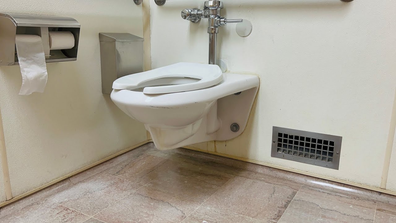 SLOAN Toilet Flushes Toilets Flushing Desensitization Training Huge
