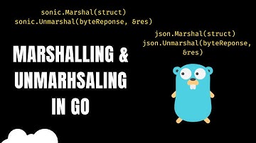 Go: Efficient Marshalling & Unmarshalling | SONIC | JSON