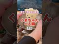 渋谷グルメ【コラーゲンたっぷりのくまちゃん一人鍋】くまちゃん温泉