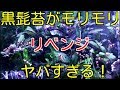 【アクアリウム】ヤバすぎる！黒髭清掃工場【レッドビーシュリンプ】