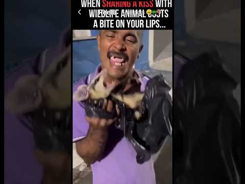 🤦🏿‍♂️ 1000 deaths to a rat #comedy #jokes #dumb
