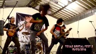 Download Lagu INSALUBRITY - Uterovaginal Insertion of Extirpated Anomalies (Cephalotripsy Cover) MP3