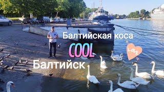 Балтийск или Балтийская коса? Кладбище домашних животных. Пляжи.