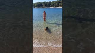 Welsh terrier and the sea