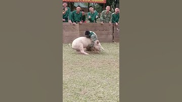 Bịt mắt bắt lợn Pas2