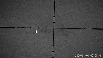 Rabbit Control with the .17 HMR and Night Vision