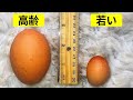 時間がモノに与える影響を視覚的に比較してみた