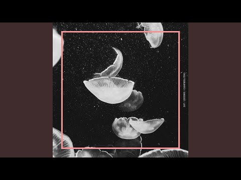 3-Way Split artwork
