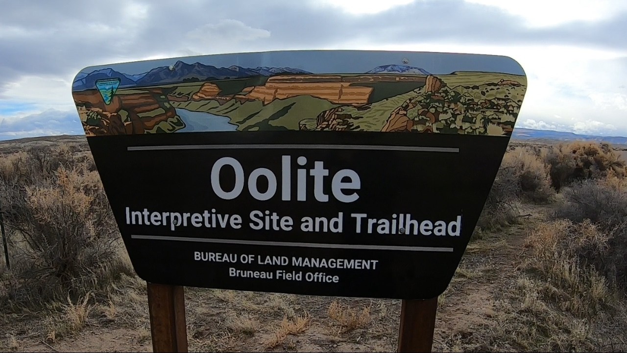 Shoofly Oolite - Ancient Lake bed in Idaho