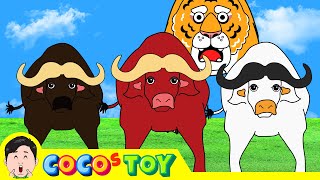 The crafty Tiger and the three little Buffaloesㅣanimals names for kidsㅣCoCosToy