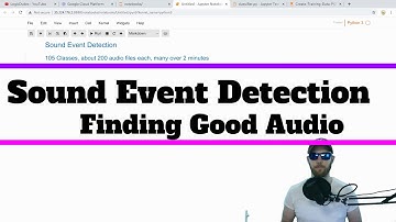 Sound Event Detection - FL Bird Model Methodology Overview