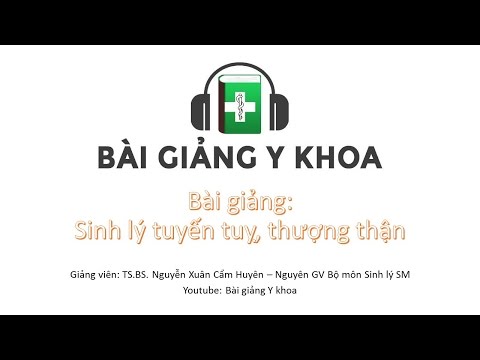 Video Sinh lý tuyến tuỵ, tuyến thượng thận - TS.BS. Nguyễn... - youtube