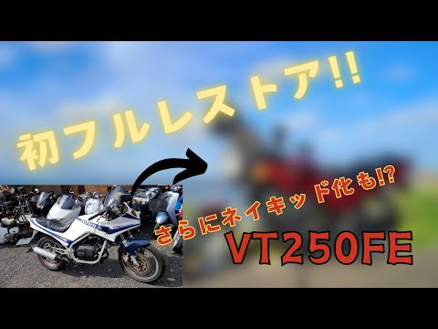 ホンダ　VT250FE    書類付レストアベース車 ホンダ VT250FE MC08 実働 書類付き OP アンダーカウル付き タイヤバリ