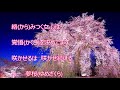 夢桜(長山洋子)♪♪COVER(キー:♯4)