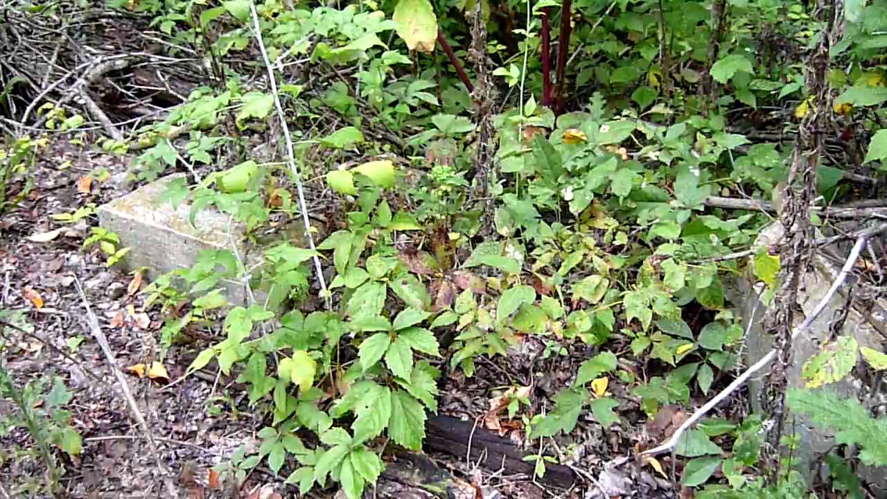 The Grand Rapids & Indiana: a once industrious rail line