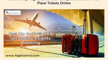 Book Cheap Flights to the U S   Compare and Book Your Plane Tickets Online