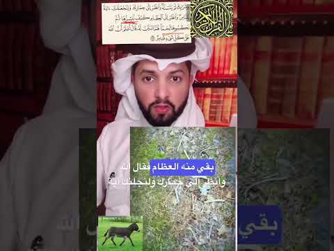 مامعنى كلمة ننشزها ثم نكسوها لحما مختصر تفسير ابن كثير تفسير ابن كثير كاملا الطبري