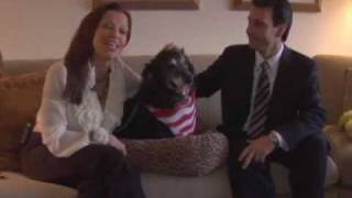Pet Travel Tips