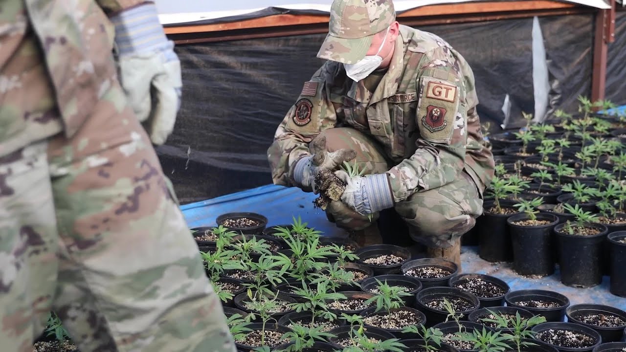 Oklahoma guardsmen assist oklahoma bureau of narcotics with counter