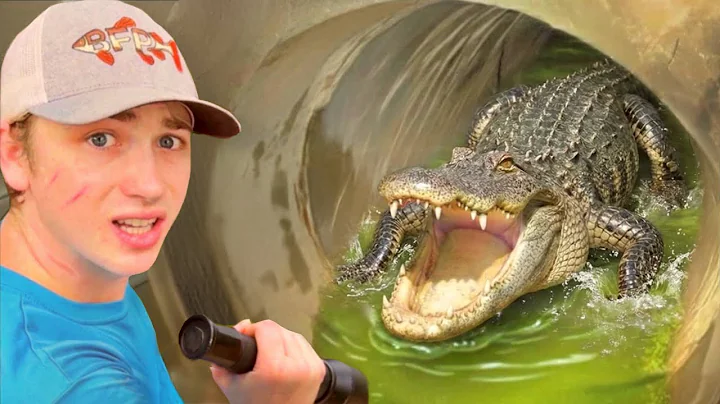 I Found an Alligator in a Hidden Tunnel…