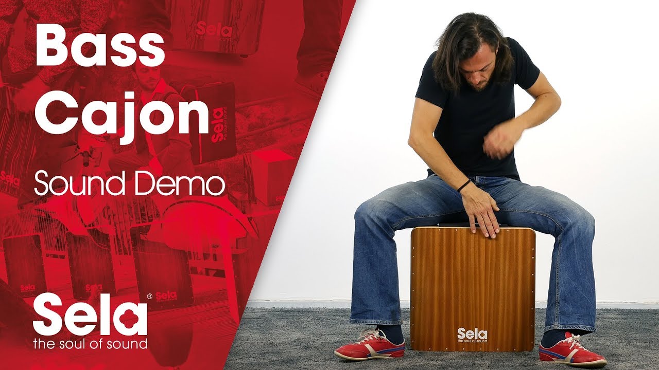 SELA CAJON ( セラカホン ) SE 099 ベースカホン 送料無料 | サウンド