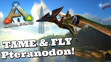 ARK | EASY steps to Tame and Fly the Pteranodon + TIPS! @Vedui42 ✔️