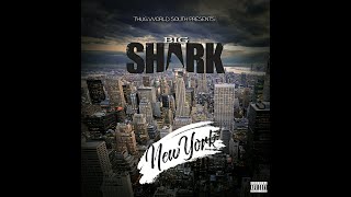 Big Vinnie The Shark - New York Q Bosilini & E 1 Present Official Music Video