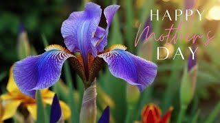 Happy Mother’s Day! screenshot 4