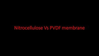 Nitrocellulose Vs PVDF membrane