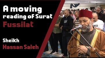 سورة فصلت حسن صالح// Hassan Saleh Surat Fussilat