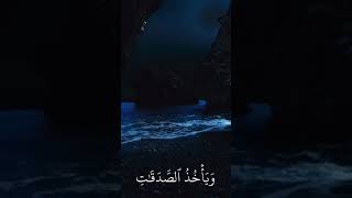 #المصحف #subscribe #لايك #اكسبلور #gogoshow #ارح_قلبك #ارح_سمعك #ارح_سمعك_بالقران #جوجوشو