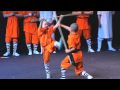 Shaolin Wudang Show