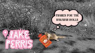 Lake Perris Camping, Munchies &amp; Pure Survival Mode