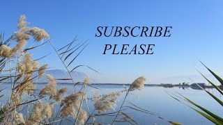 Subscribe please (Für Elise Ludwig van Beethoven)