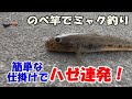 ハゼ釣りはのべ竿が超楽しい♪簡単仕掛けで入れ喰いを堪能！