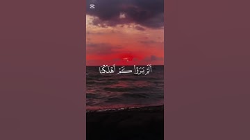 قرآن كريم بصوت جميل #راحة نفسية #دويتو #لايك #متابعه #اكسبلور #دويتو #duet #تيك_توك #ترند #لايك 