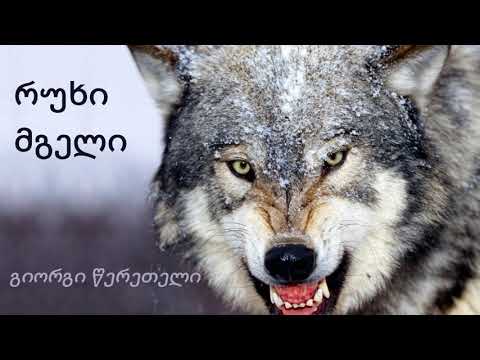გიორგი წერეთელი \"რუხი მგელი\"