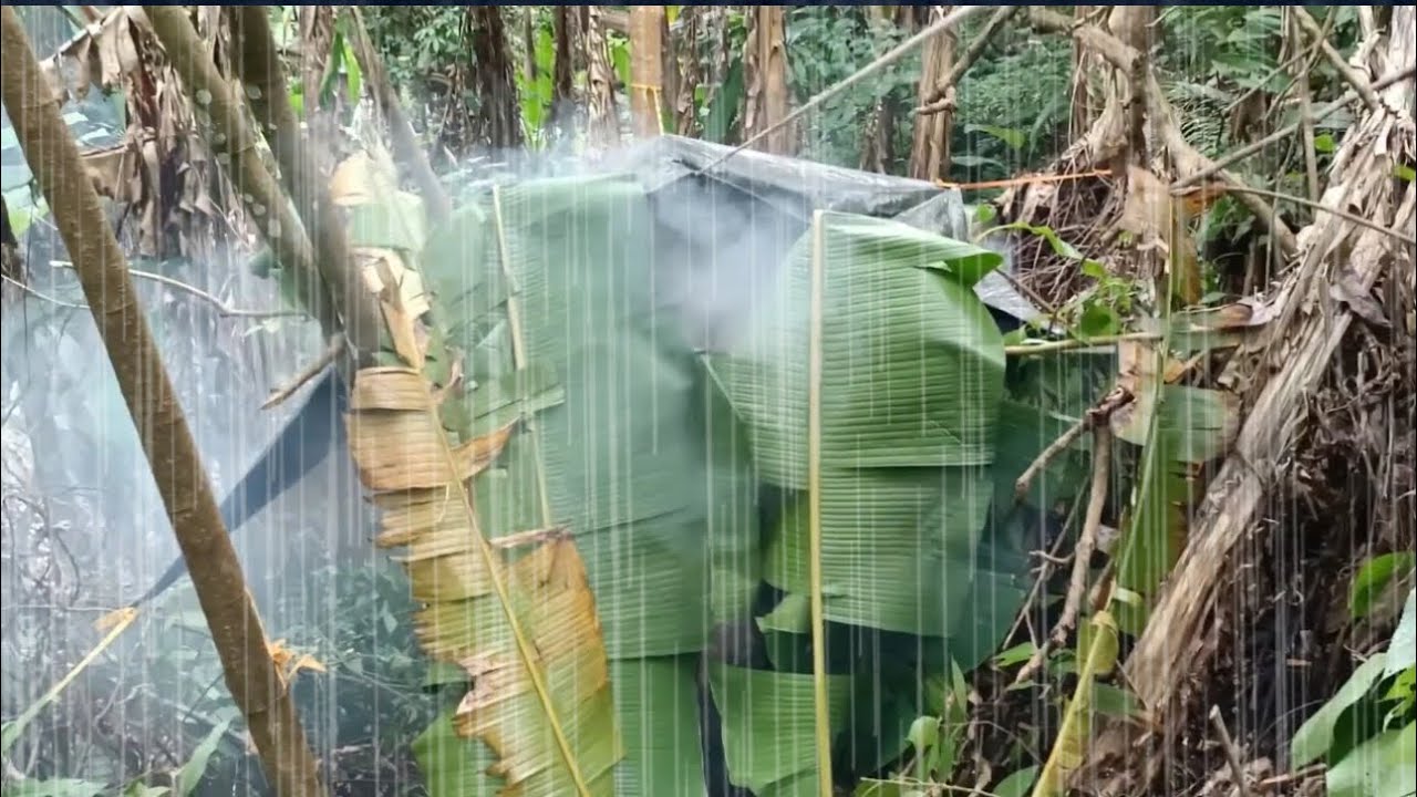 เดินป่าฝนตกหนัก โคตรบรรยากาศ