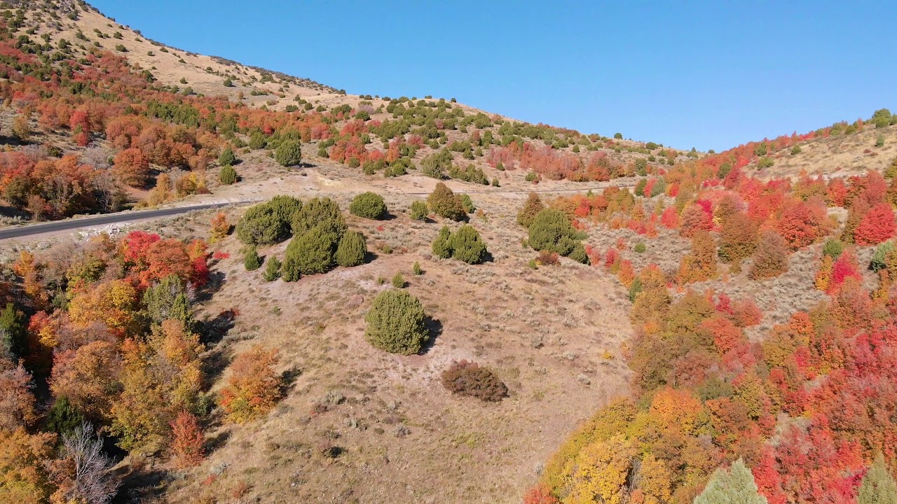 Short Divide Fall Colors - Cache County, Utah