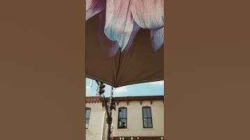 Commute Home (Pedestrian Version) #walk #commute