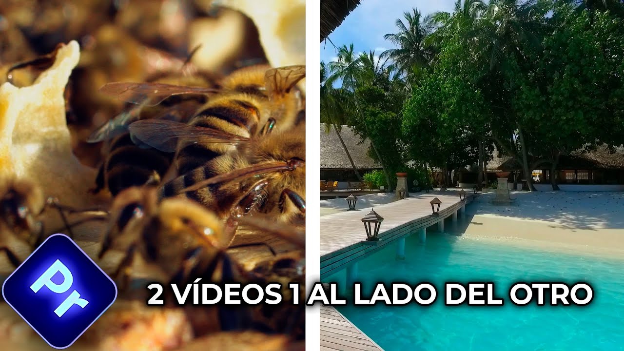 Cómo poner 2 vídeos uno al lado del otro en Premiere Pro (Tutorial rápido)