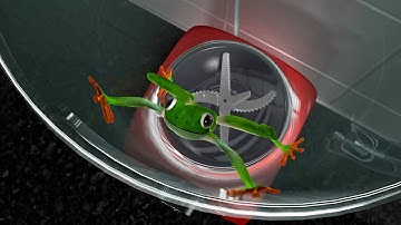 Frog in a Blender - An Animated Short by See3D Ltd.