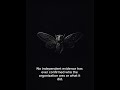 Cicada 3301 | Mystery Documentary