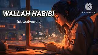 Wallah Habibi Slowed And Reverb