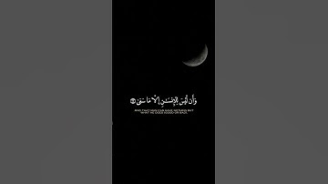 #قرآن #المصحف #قرآن_كريم #راحة_نفسية #تلاوة_خاشعة #اجر_لي_ولك #تجويد #quran #quran_kareem